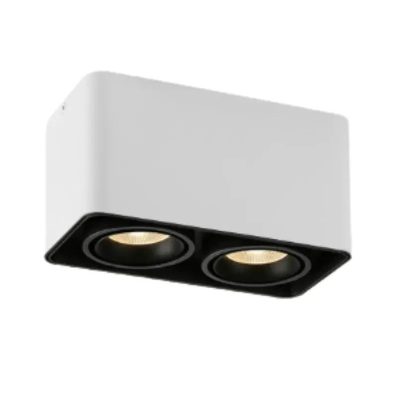 MUSPEL Surface Mounted Downlight