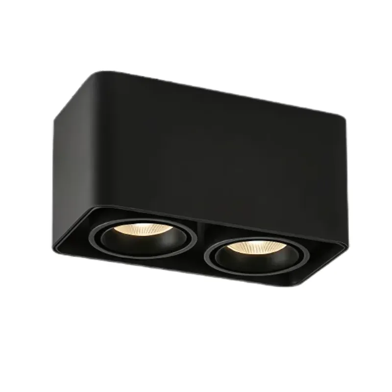 MUSPEL Surface Mounted Downlight