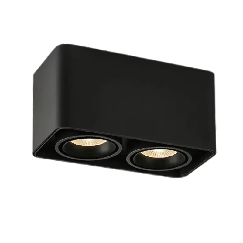 MUSPEL Surface Mounted Downlight