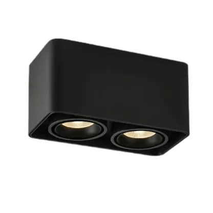 MUSPEL Surface Mounted Downlight