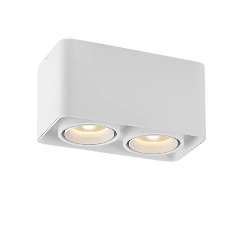 MUSPEL Surface Mounted Downlight