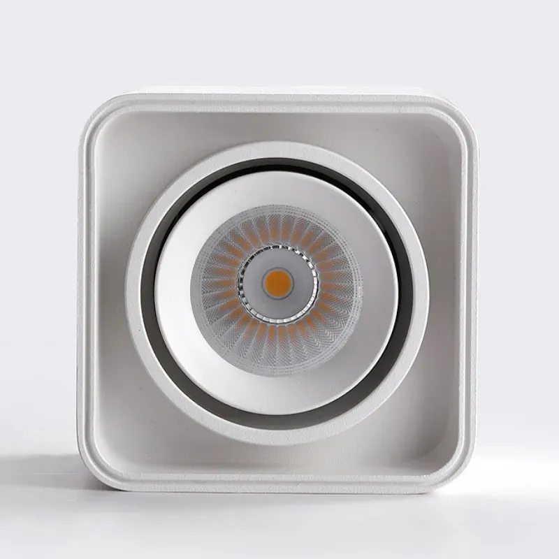 MUSPEL Surface Mounted Downlight