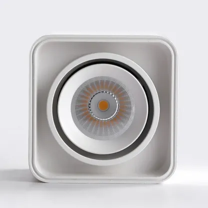 MUSPEL Surface Mounted Downlight