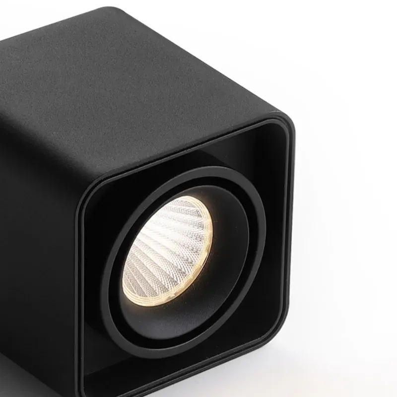 MUSPEL Surface Mounted Downlight