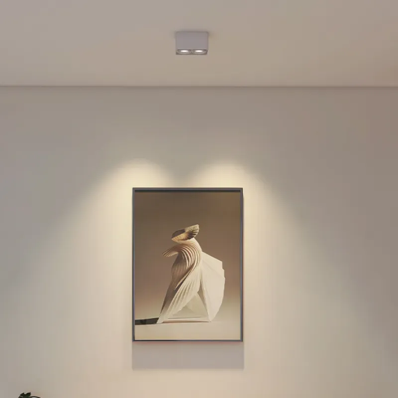 MUSPEL Surface Mounted Downlight