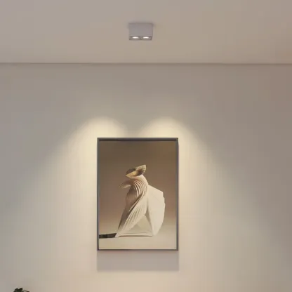 MUSPEL Surface Mounted Downlight