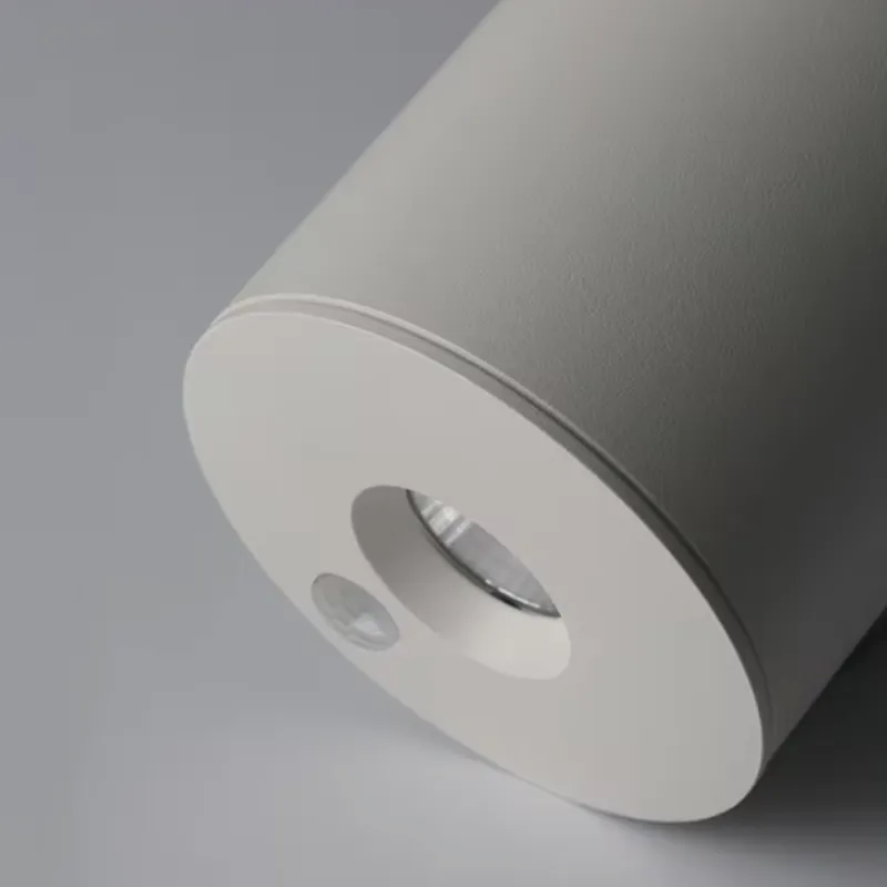 MUSPELHEIM Surface Mounted Sensor Downlight