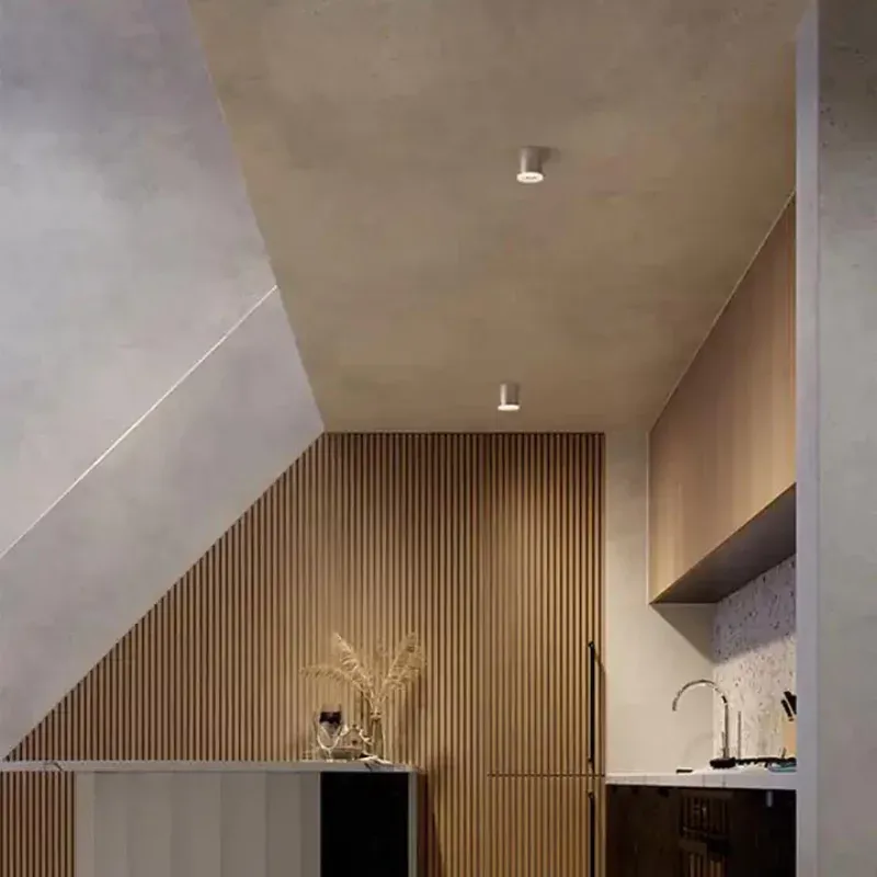 NANA Downlight