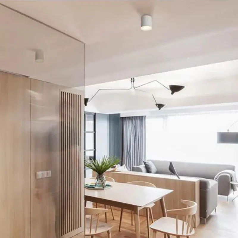 NANA Downlight