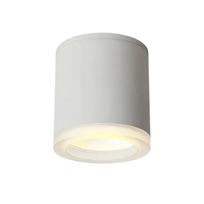 NANA Downlight