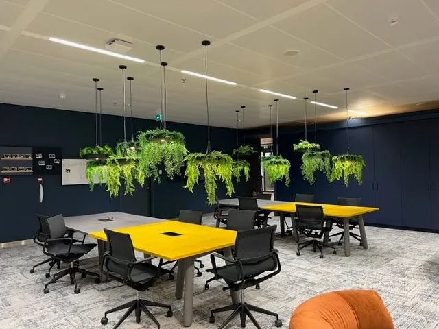 {"default":"Contemporary office break area featuring yellow and black tables with unique hanging lights adorned with green plants. "}