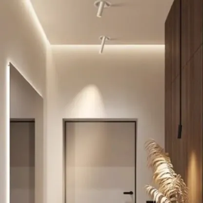 NexoraTelescopic Recessed Downlight