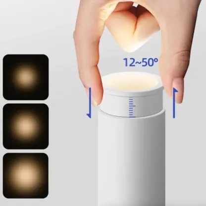 NexoraTelescopic Recessed Downlight