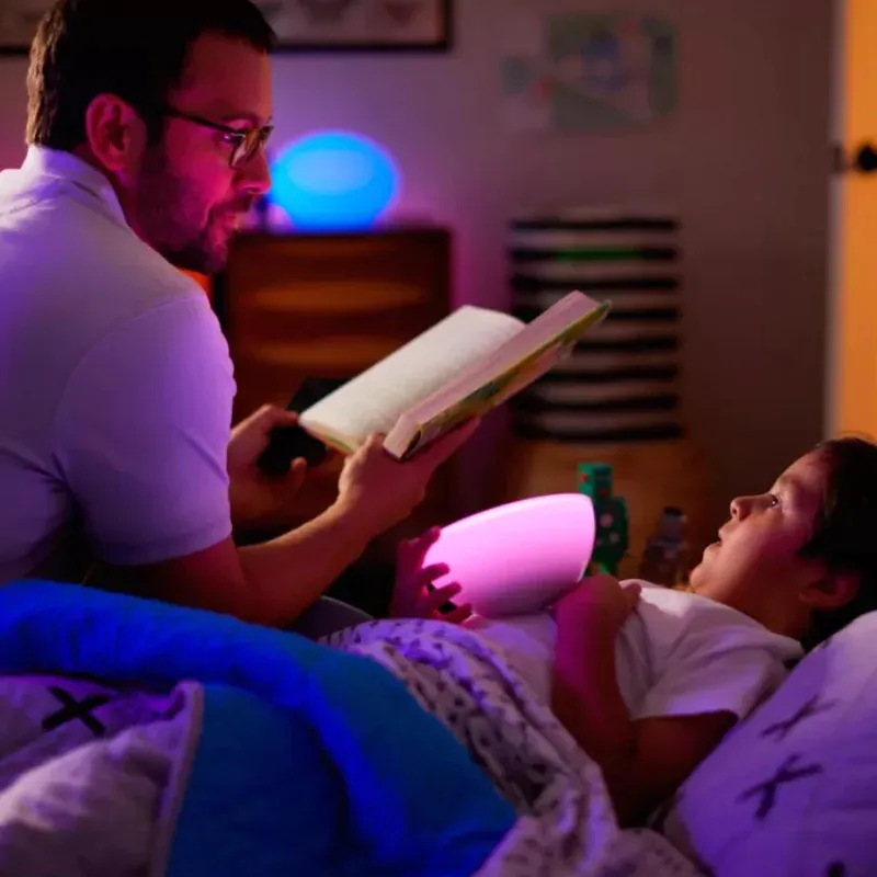 Philips Hue Go (76020)