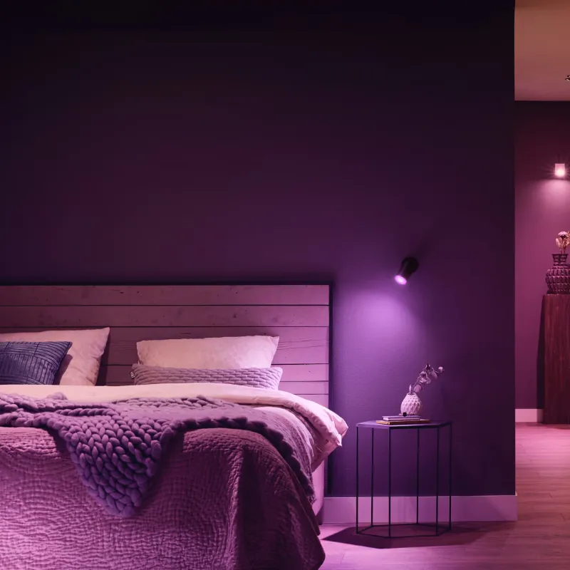 Philips Spotlight Holder