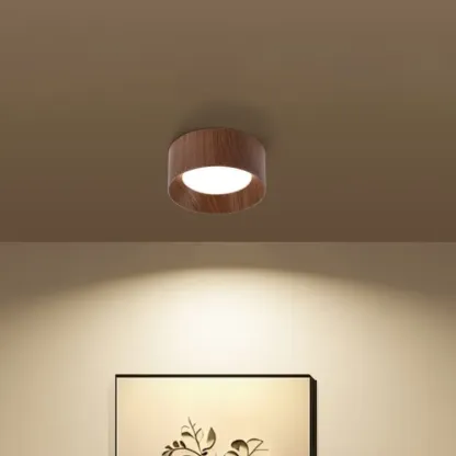 RevanaWood Surface Mounted Downlight