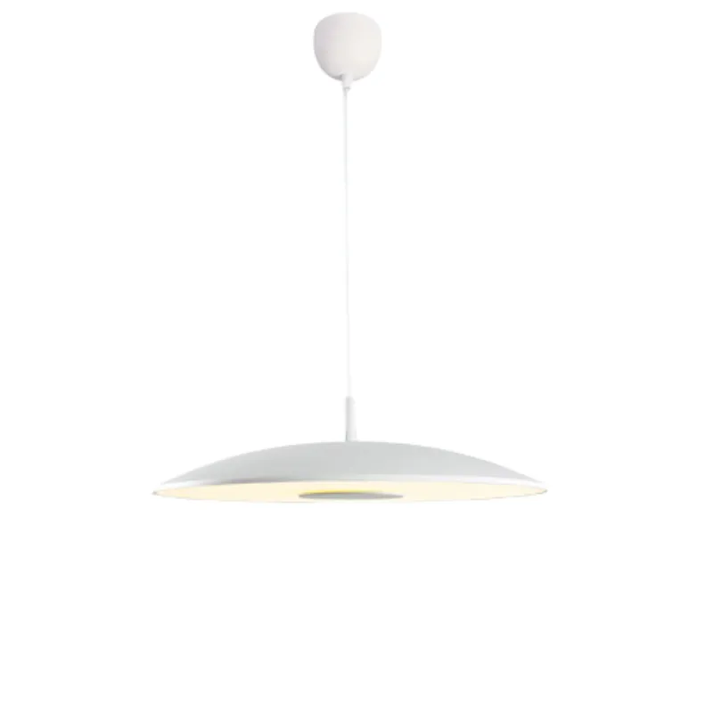 ShineRing Pendant Light