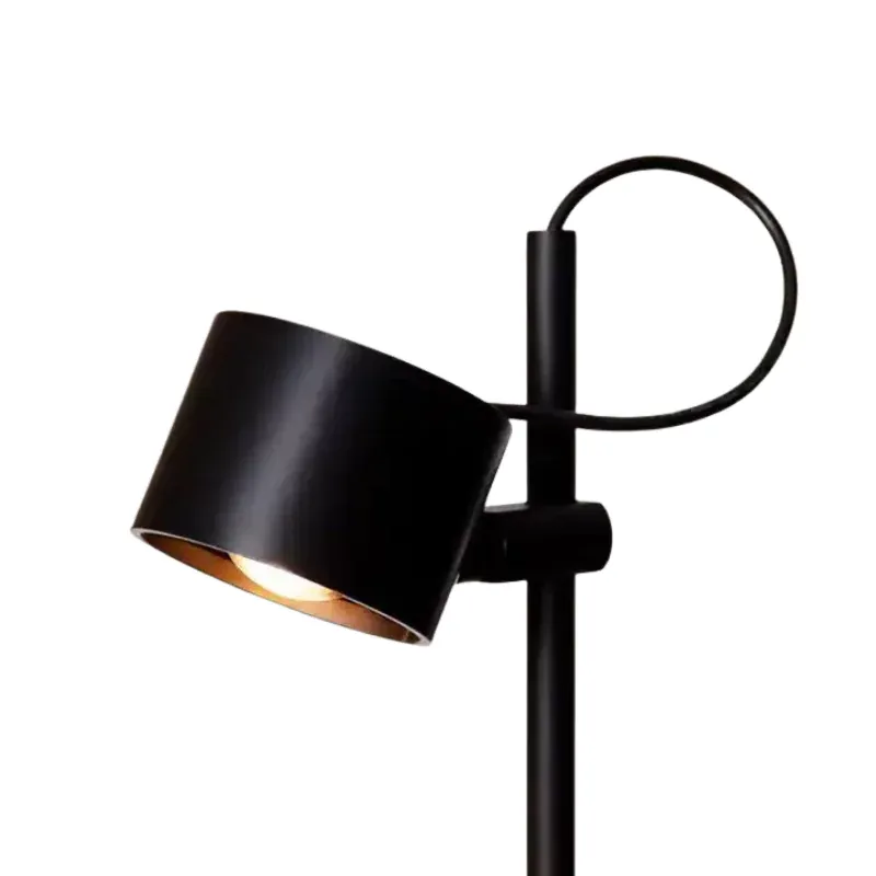 AetherLight Adjustable Floor Lamp - Warm to Daylight