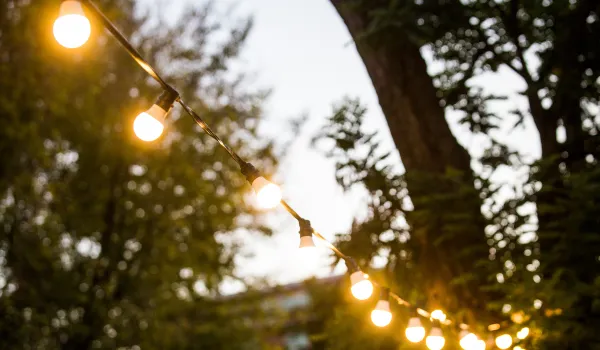 Warm string lights hung between trees for outdoor ambiance