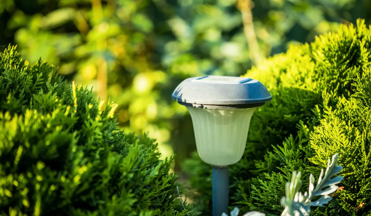 Solar-powered garden light nestled in green summer bushes