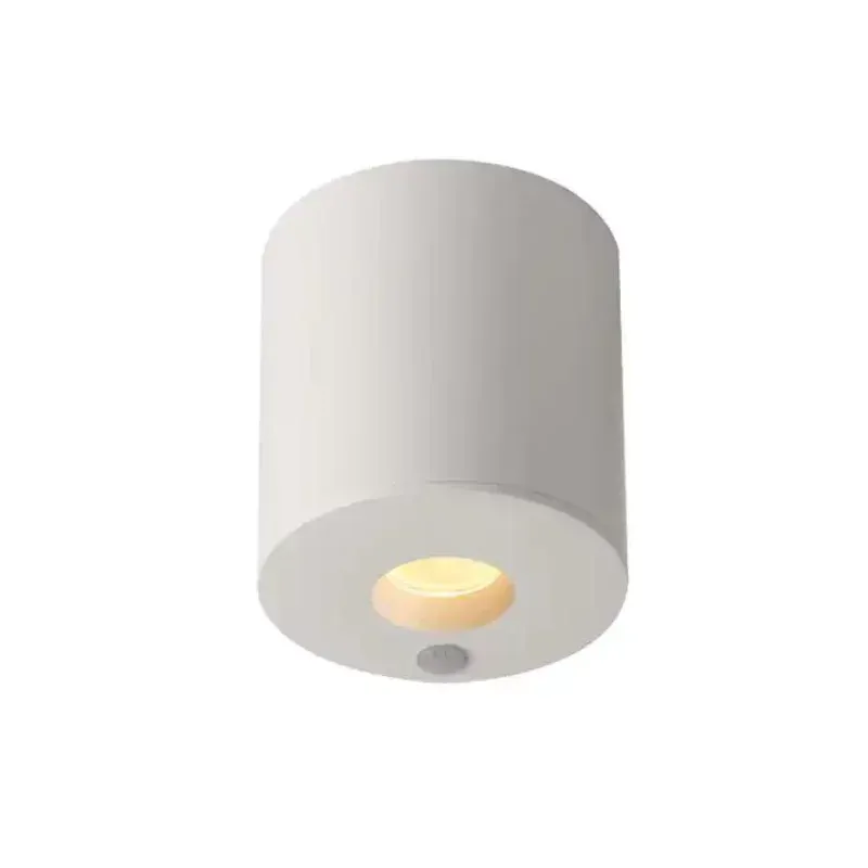SYLT Series Downlight - Sleek and Energy-Efficient Lighting Solution