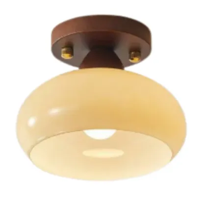 VelmiraRetro Ceiling Light