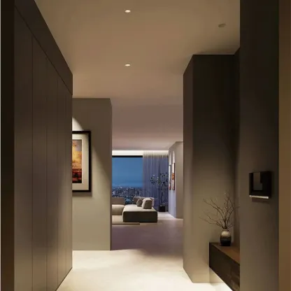 VetrixNarrow Recessed Downlight