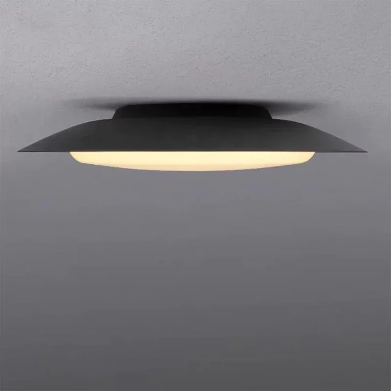 YMEI Ceiling Light