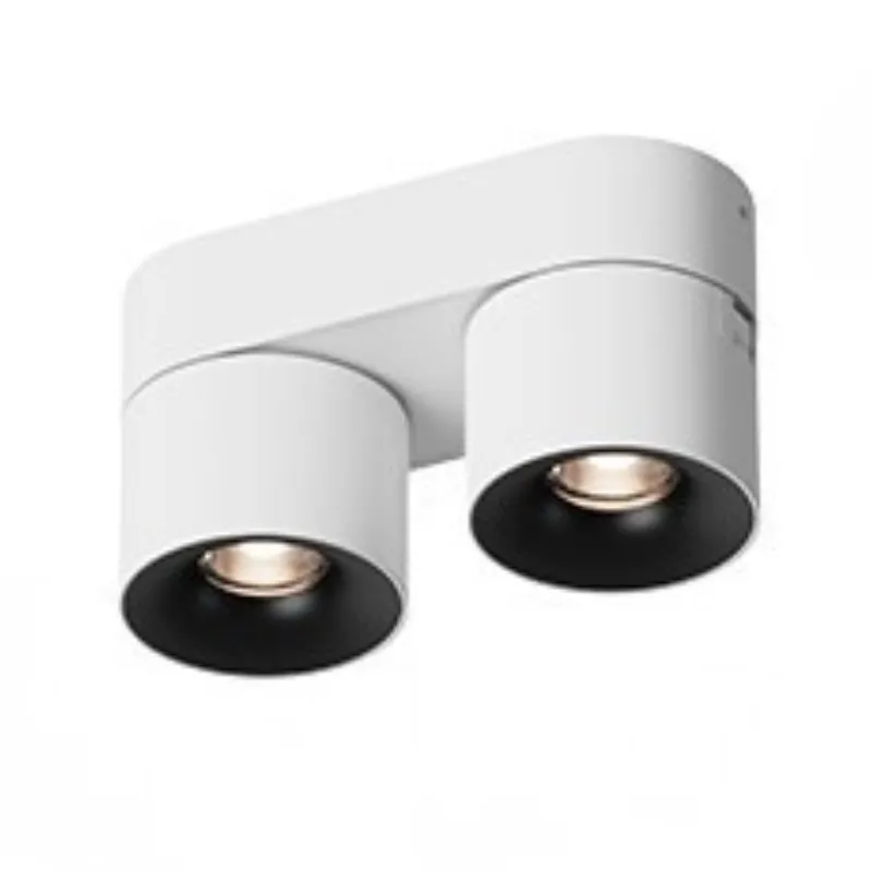 ZentrixNest Spotlight