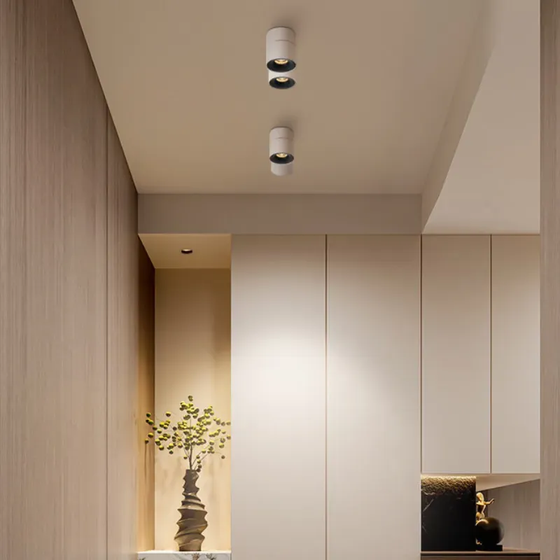 ZentrixNest Spotlight