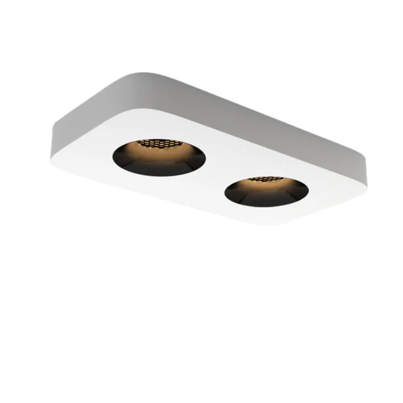 ZuroviaFit Surface Mounted Downlight