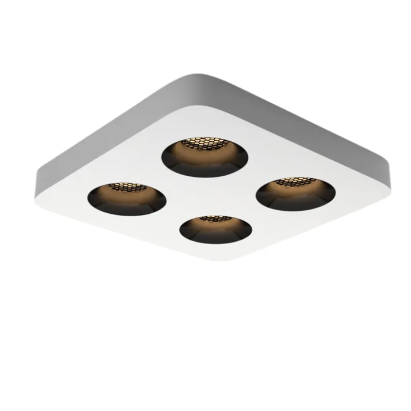 ZuroviaFit Surface Mounted Downlight
