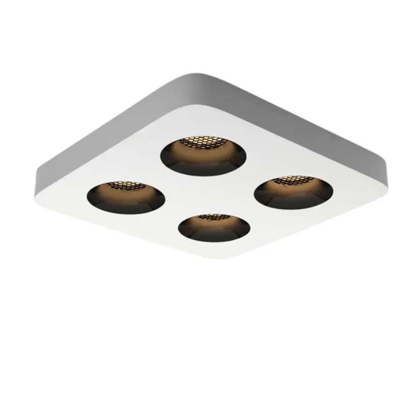 ZuroviaFit Surface Mounted Downlight