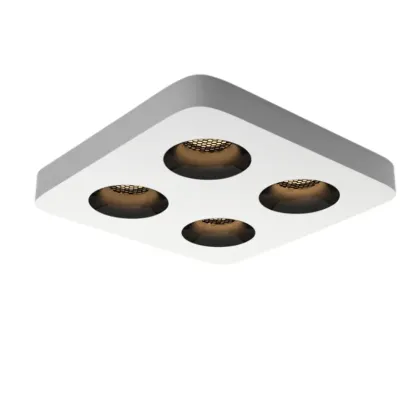 ZuroviaFit Surface Mounted Downlight