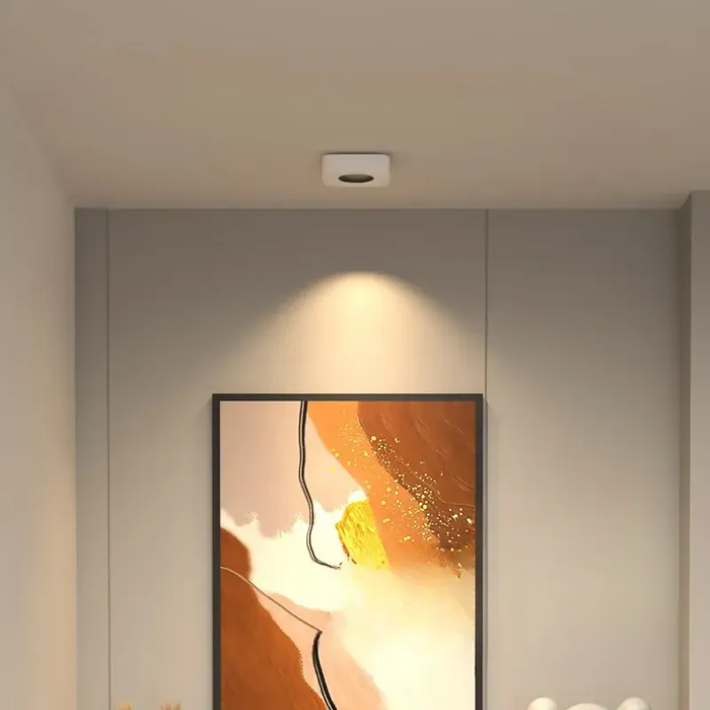 ZuroviaFit Surface Mounted Downlight