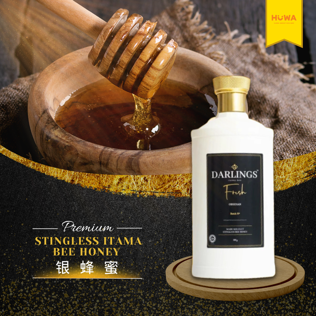 DARLINGS STINGLESS ITAMA BEE HONEY (500g)  银蜂蜜 - H10-huwagroup