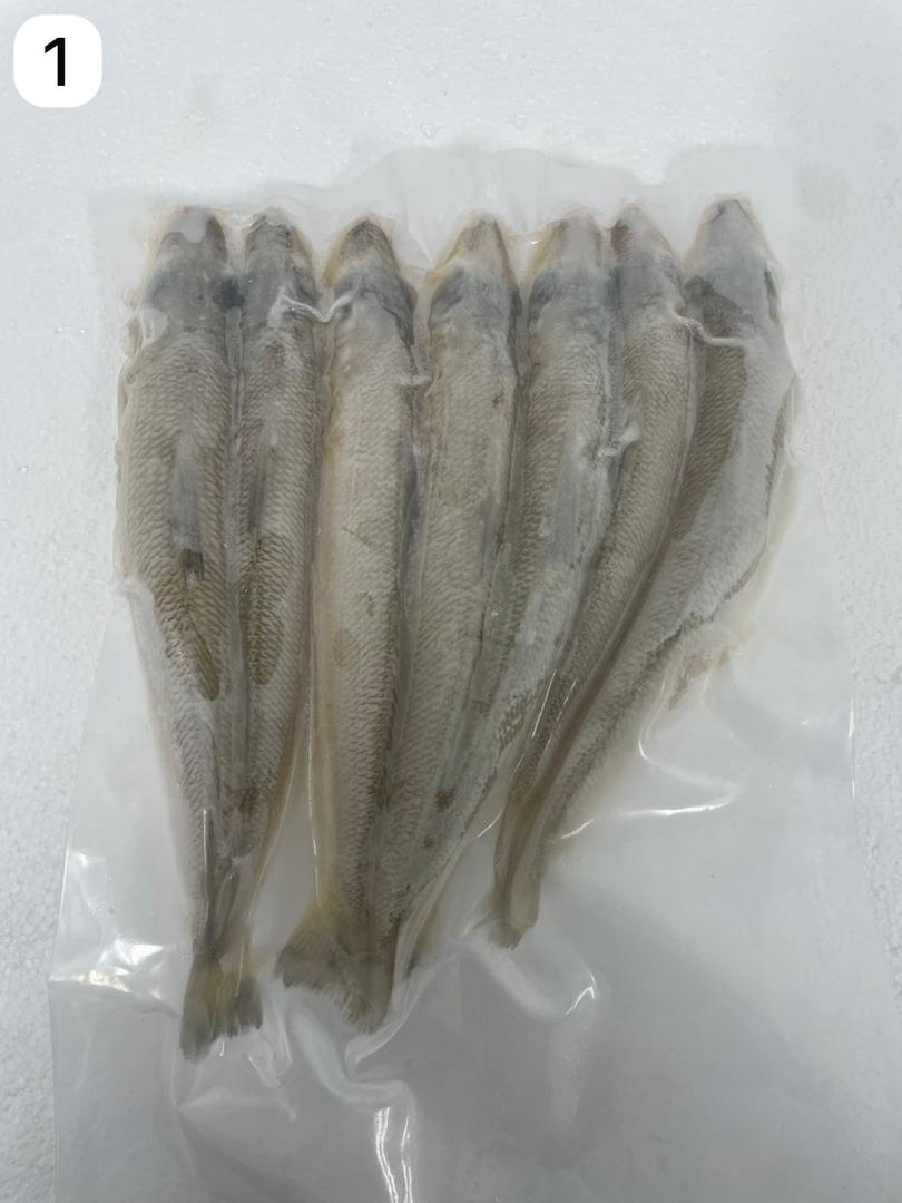特大山占（500G）- TP28-huwagroup