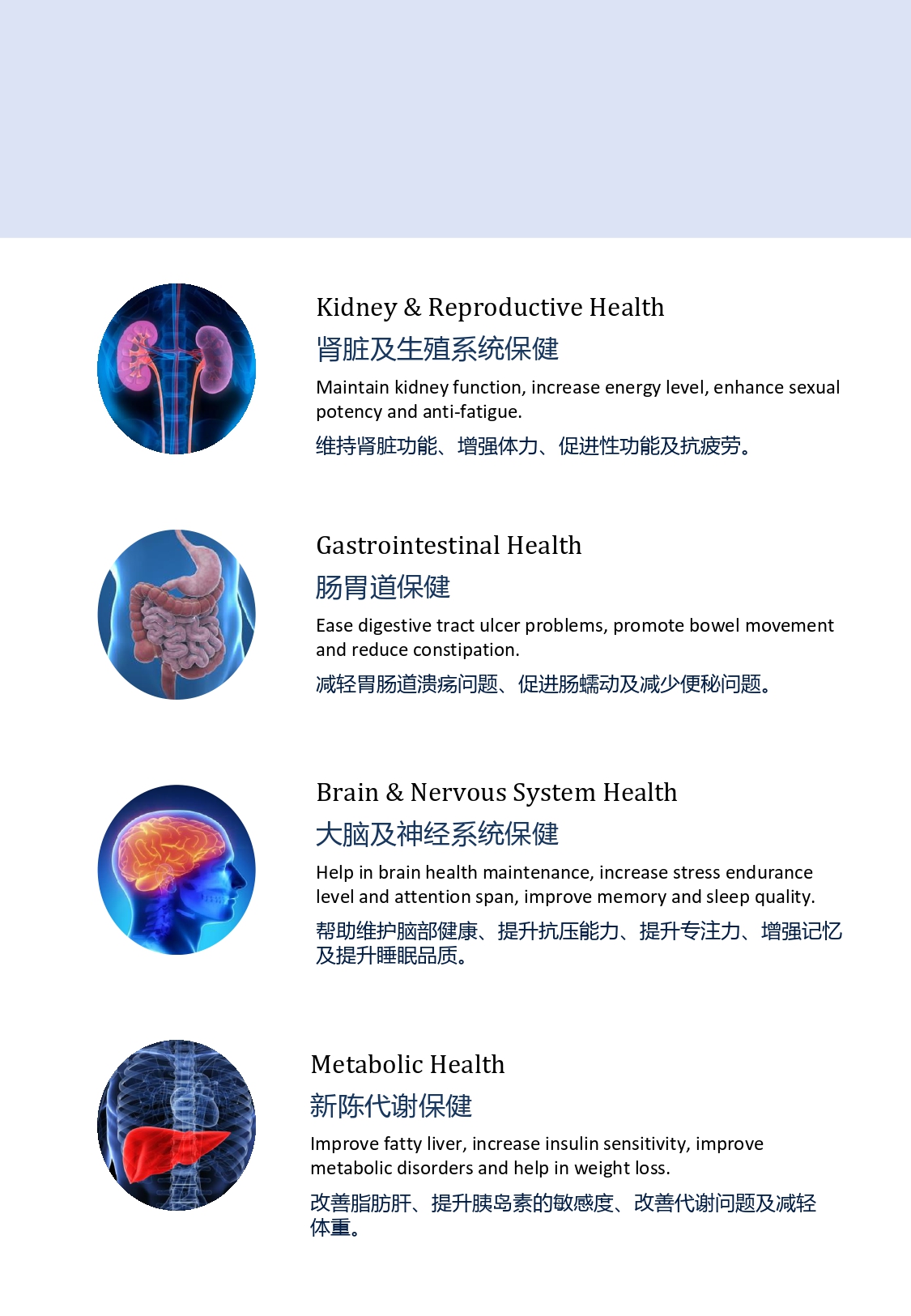 S12 - GOLD-G BIO SEA CUCUMBER-huwagroup