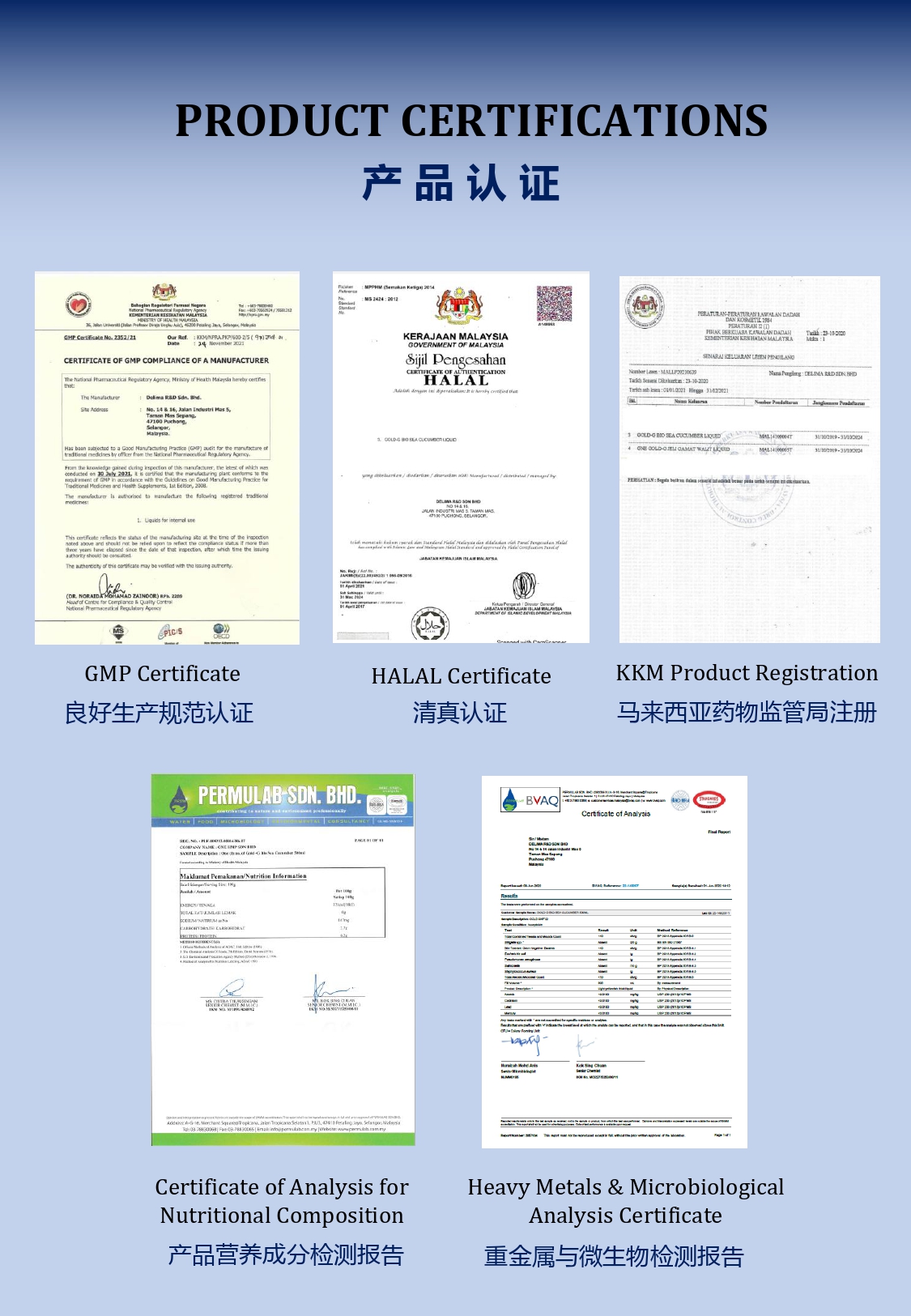 S12 - GOLD-G BIO SEA CUCUMBER-huwagroup