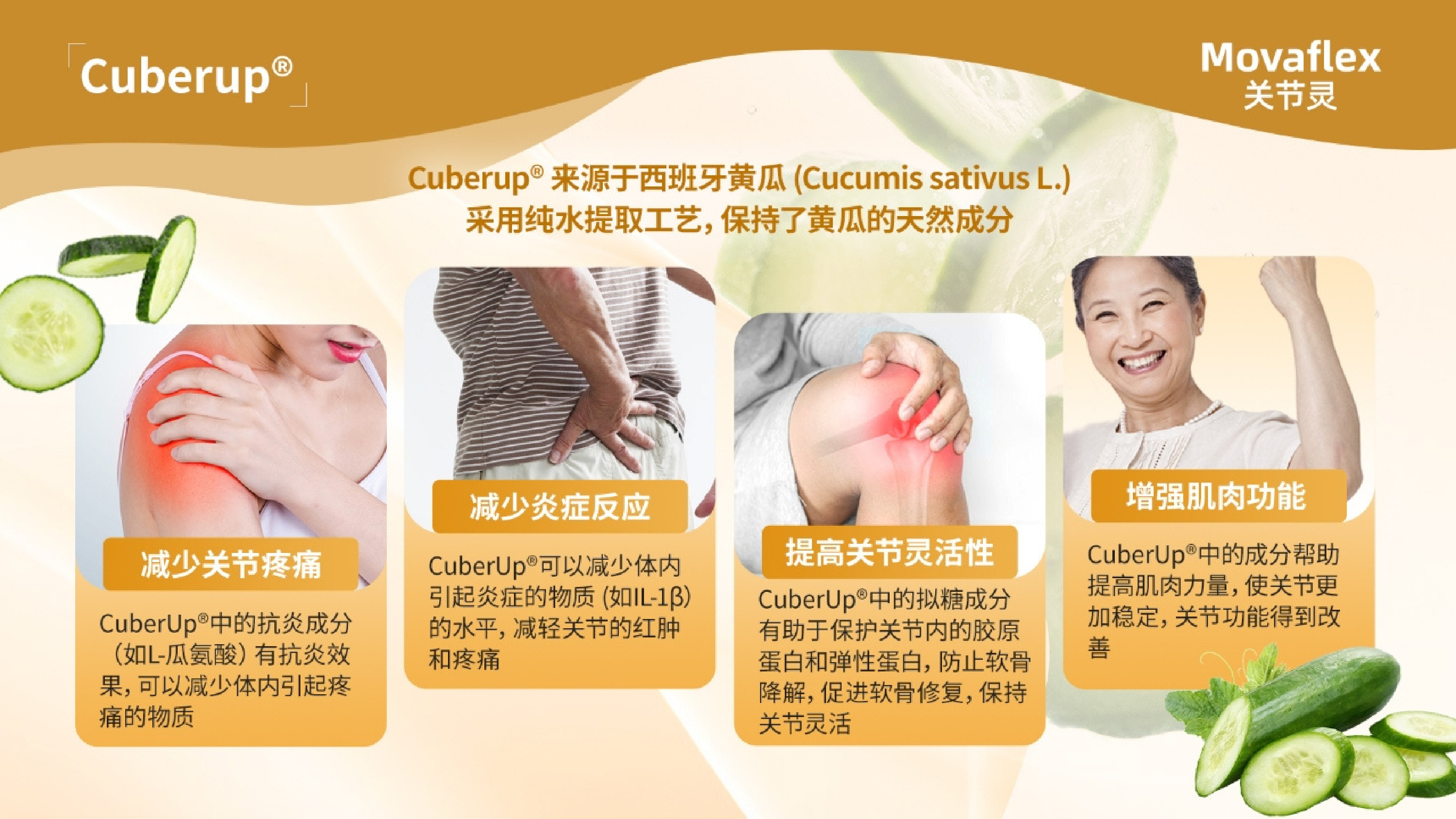 Y14 - Movaflex关节灵 (25ML x 15's)-huwagroup