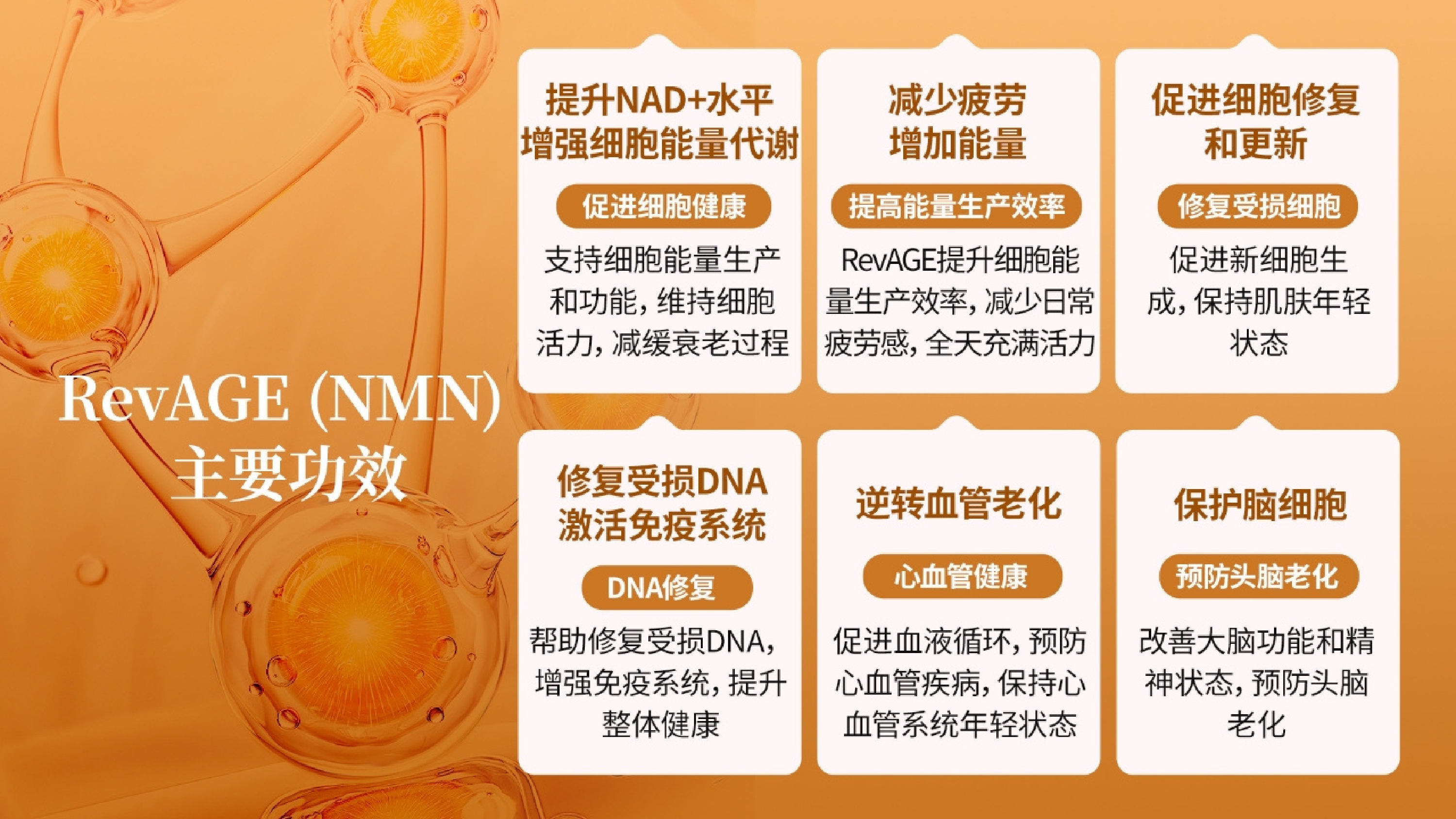 Y13 - NMNactiv 25ML(15 SACHETS )-huwagroup