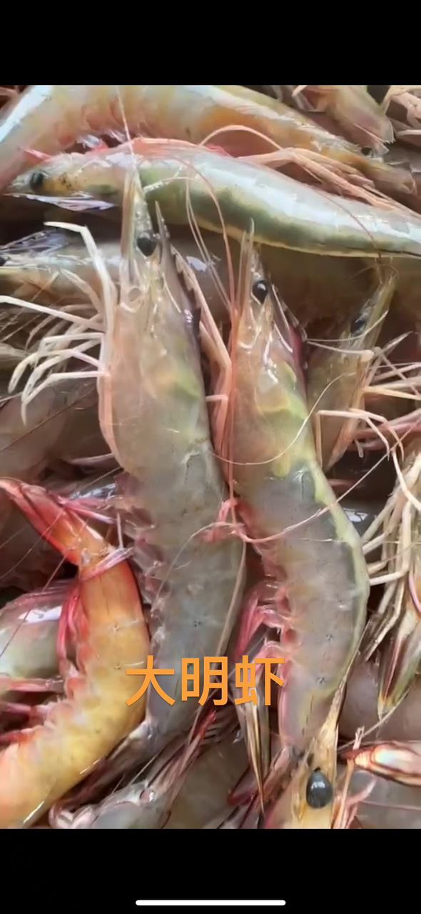BIG SHRIMP (500g) 大明虾 - TP2-huwagroup