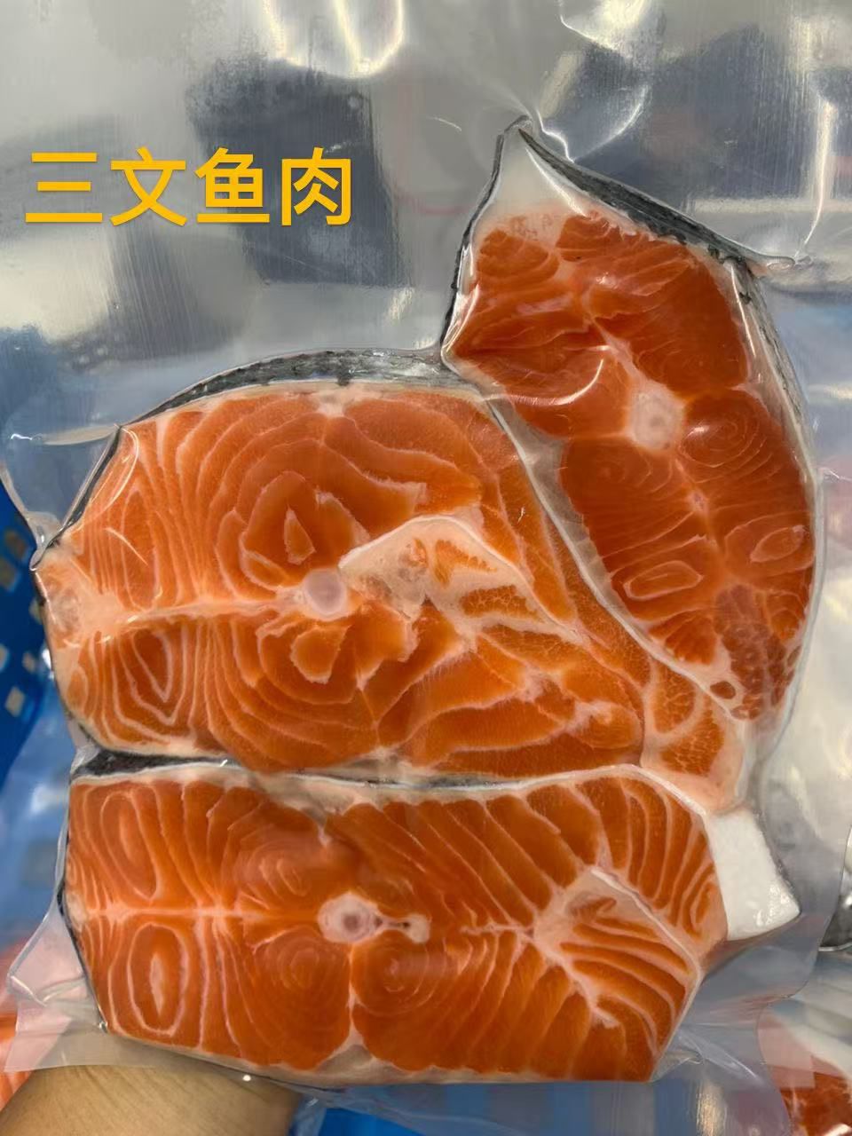 NORWEGIAN SALMON STEAK (500g) 挪威三文鱼肉 - TP5-huwagroup