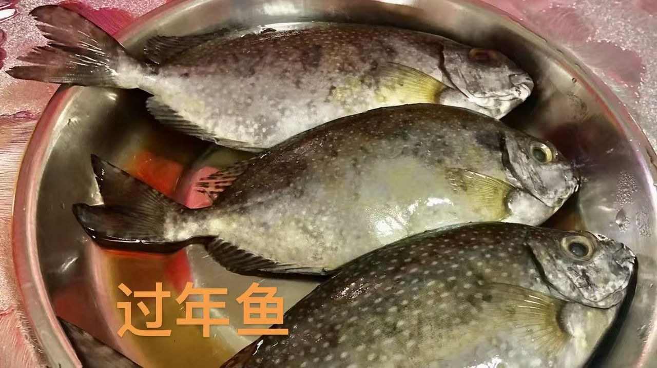 NEW YEAR FISH (400g) 过年鱼 (2只-400g- TP12-huwagroup
