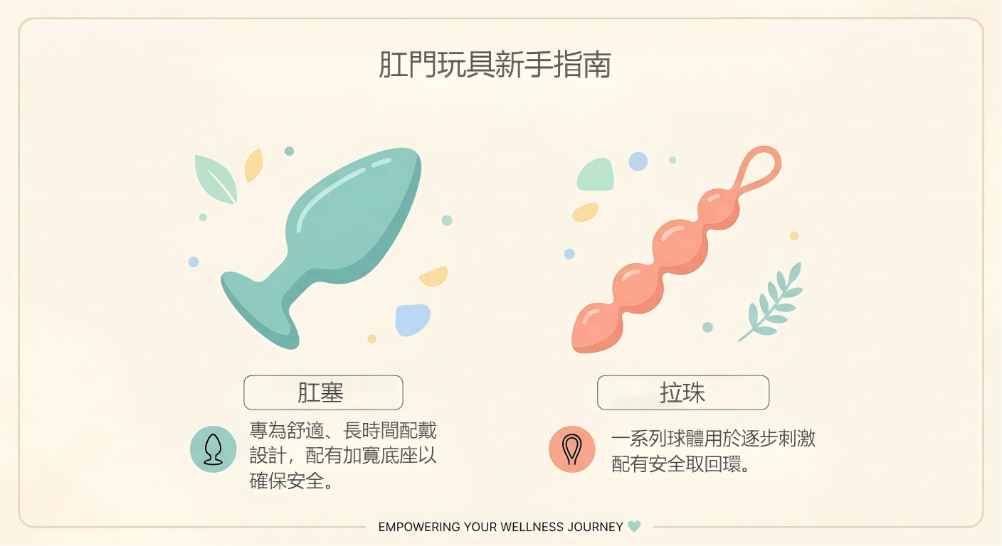 肛塞拉珠區別圖