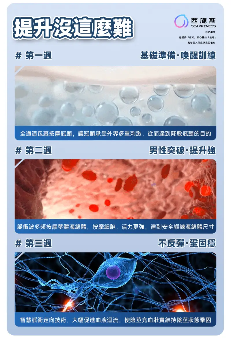 全方位穩步提升，達到訓練效果