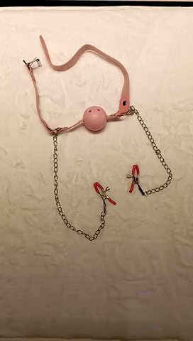 Seappiness 24h出貨 SM金屬反背手銬 口球 捆綁 束縛帶 情趣頸圈 手銬 狗奴 調教 BDSM 情趣用品