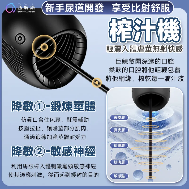 小鯨魚訓練器