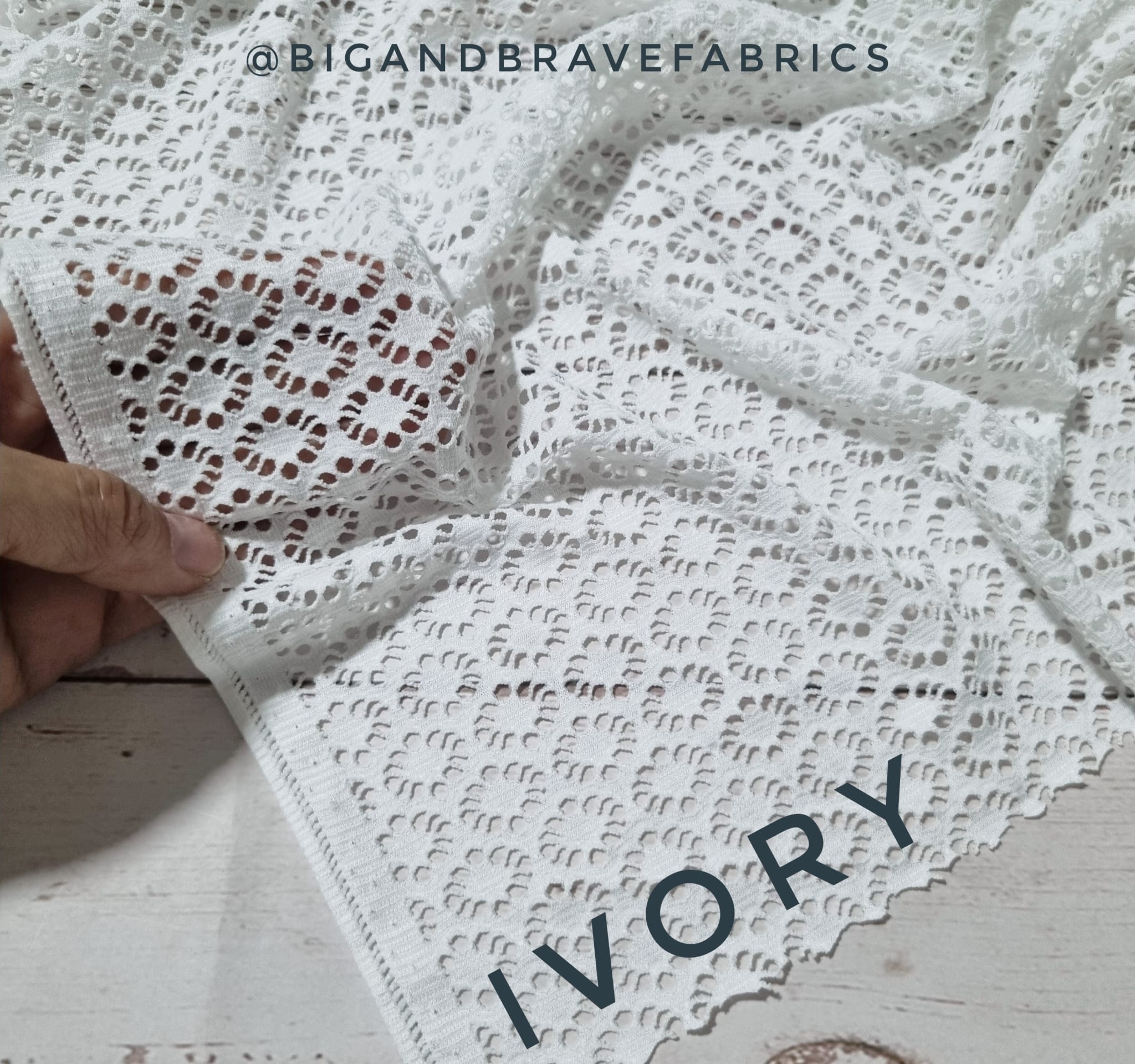 Eyelet Knit, WHITE - Last 1.2yd