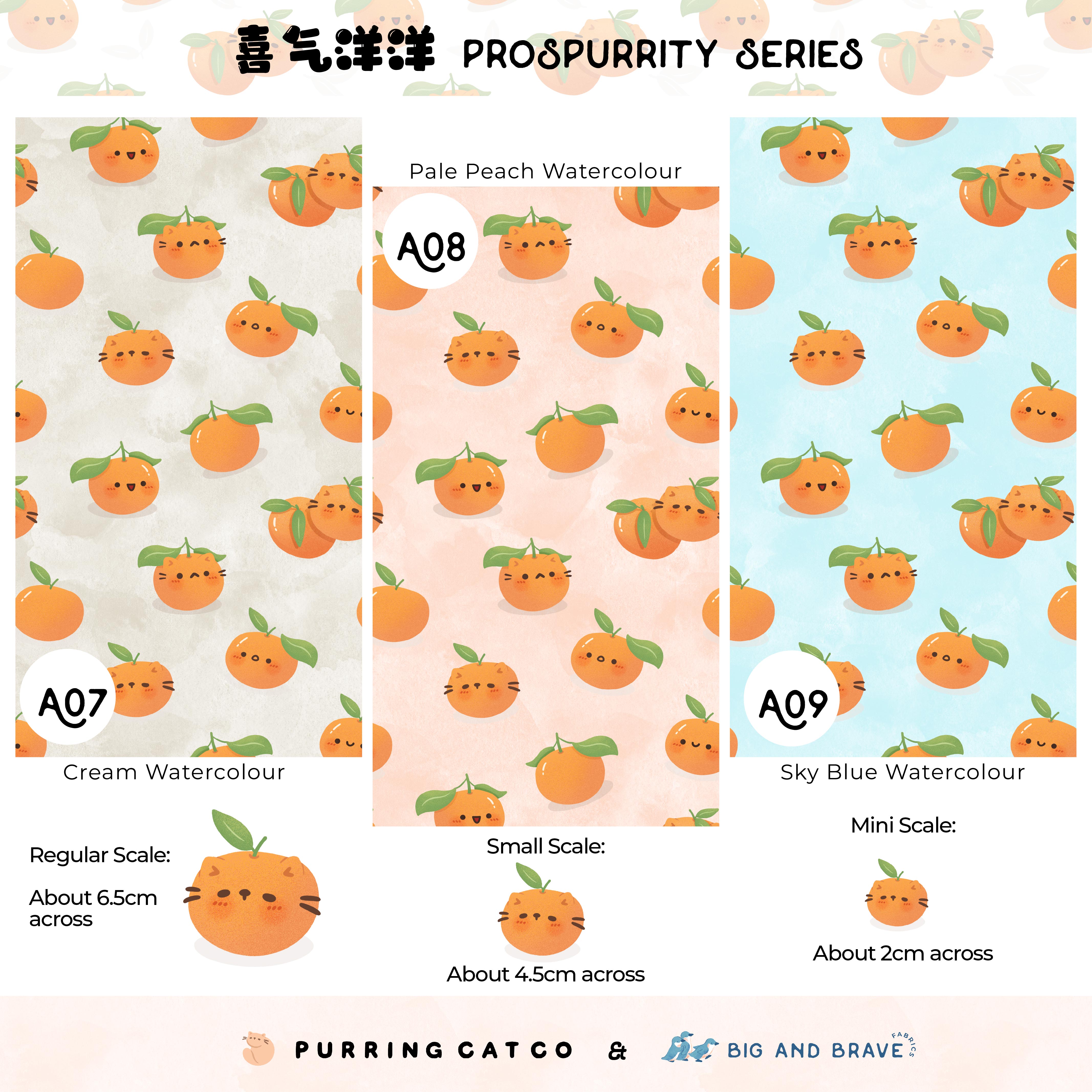 2025 Prospurrity Series, Solids